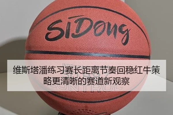 维斯塔潘练习赛长距离节奏回稳红牛策略更清晰的赛道新观察 - mksports